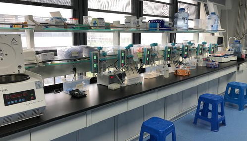 早篩創(chuàng)新與科技融合，天浚元生生物獲國(guó)高生物戰(zhàn)投，領(lǐng)跑教育科技軟件研發(fā)新賽道