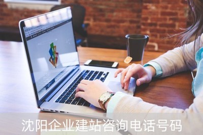 沈陽(yáng)企業(yè)建站咨詢與網(wǎng)絡(luò)技術(shù)開發(fā)服務(wù)指南